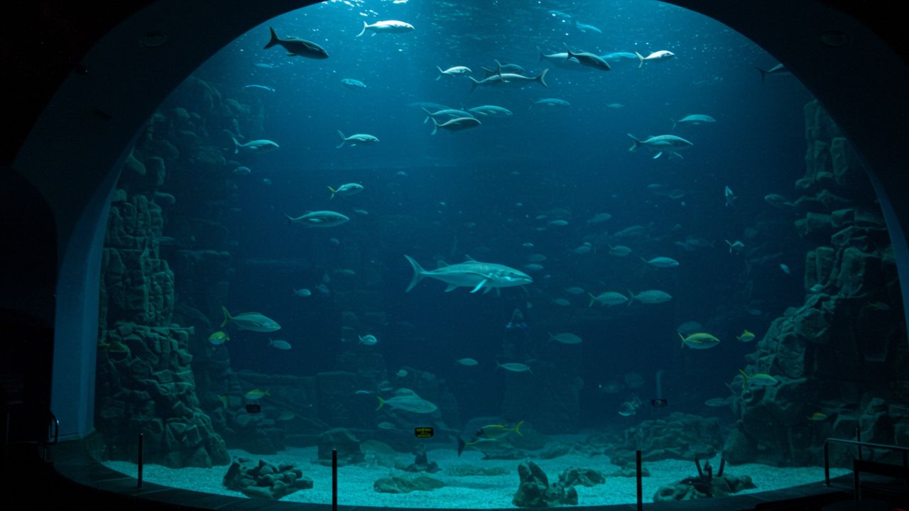 Atlantic City Aquarium NJ
